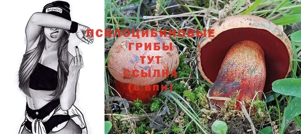 экстази Арсеньев