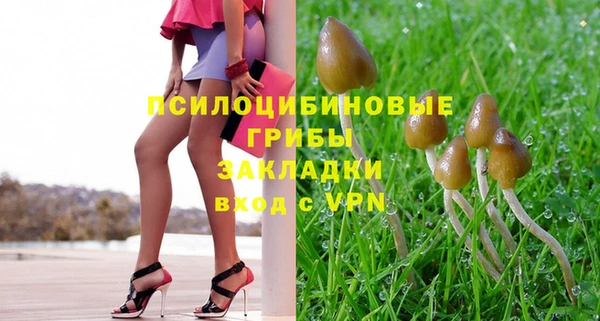 экстази Арсеньев