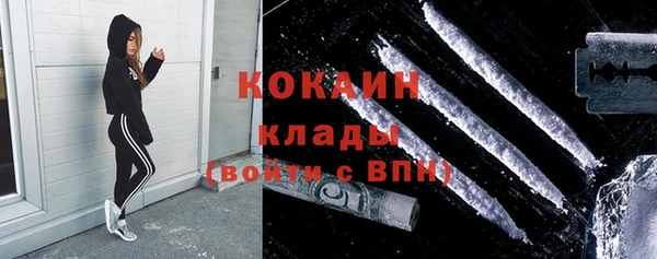 прущие грибы Алексин
